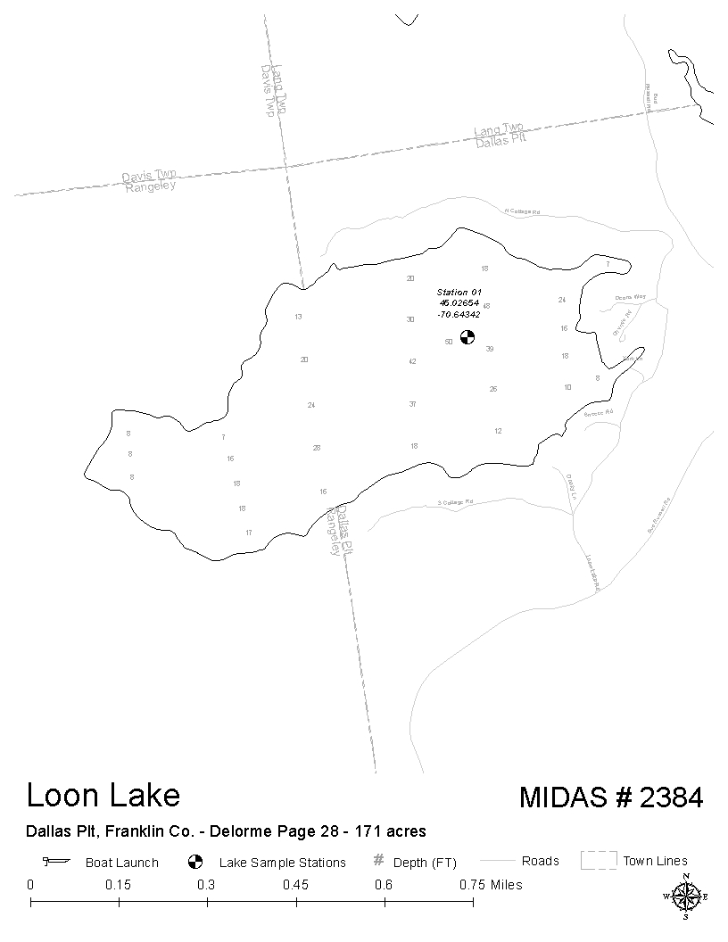 Loon Lake Depth Chart