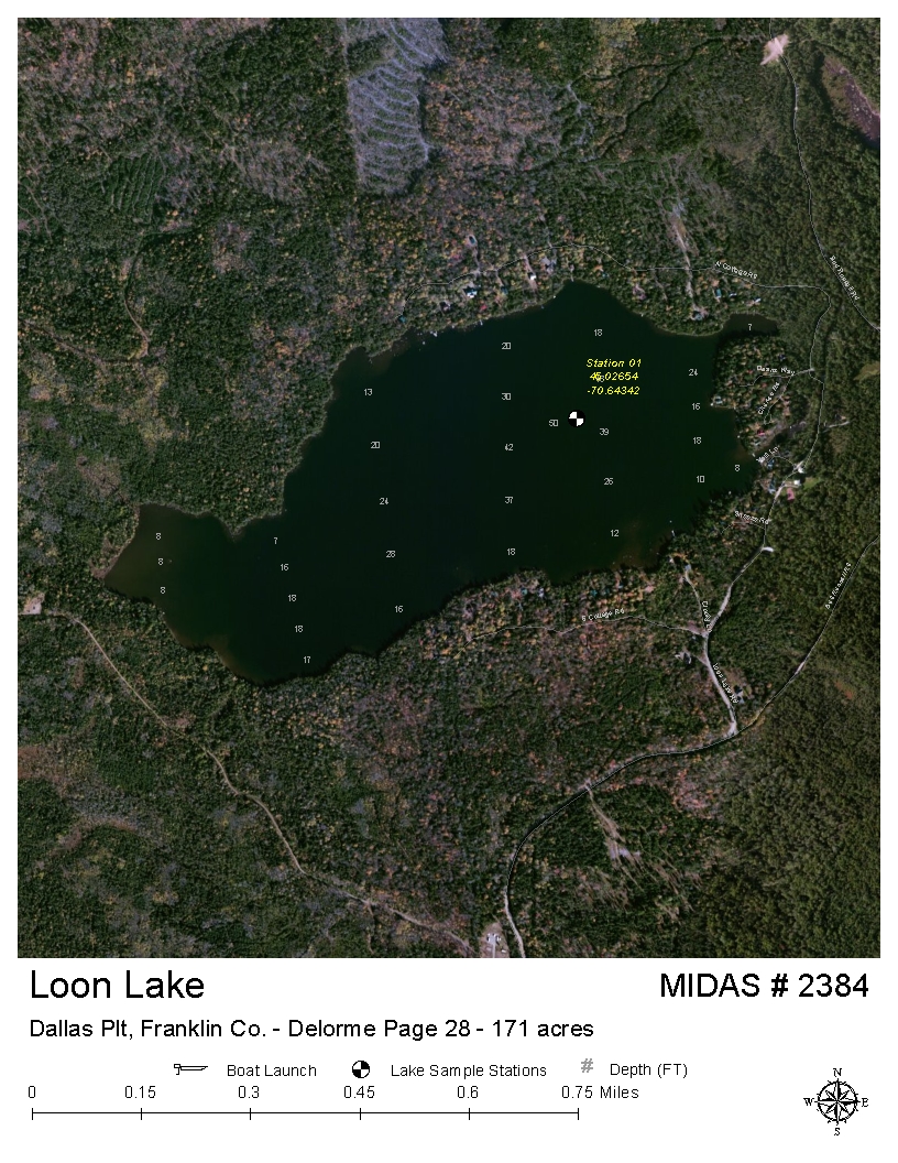 Loon Lake Depth Chart
