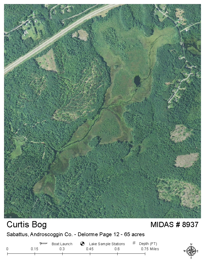 Lake Overview - Curtis Bog - Sabattus, Androscoggin, Maine - Lakes of Maine